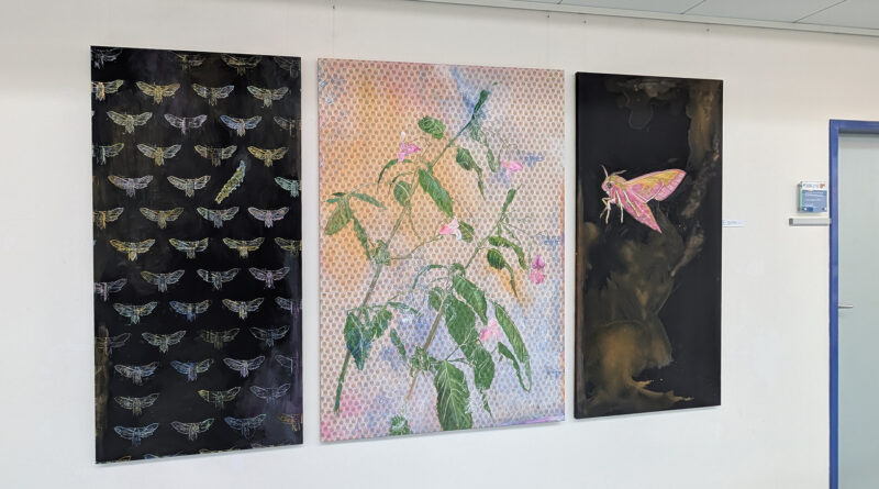 „Verwobene Welten des Lebens“