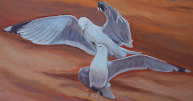 „Geflatter“ – Fotografie und Malerei von Corinna Trebes in der Stadtbibliothek Husum