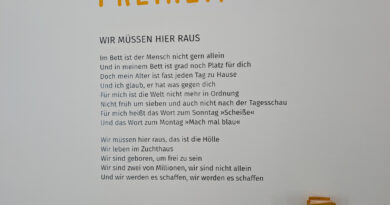 Rio Reiser – Aufgewacht und rebelliert. 